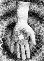 Post Card Artwork (30 kB GIF)